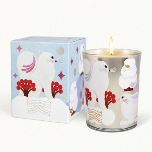 FRAGONARD Aromatinė žvakė Rêve d'Hiver 200 g